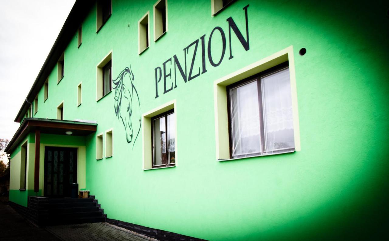 Pension Jezdecké centrum Kočík Stružná Esterno foto